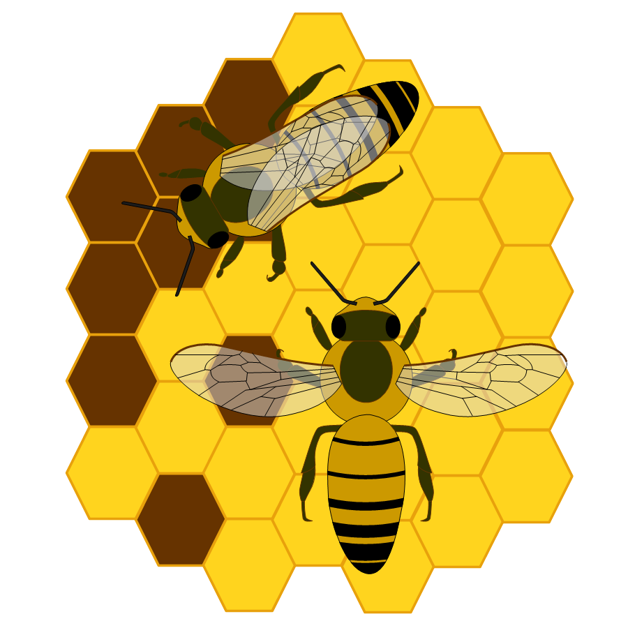 Utiliser des abeilles pour transporter des bactéries ?