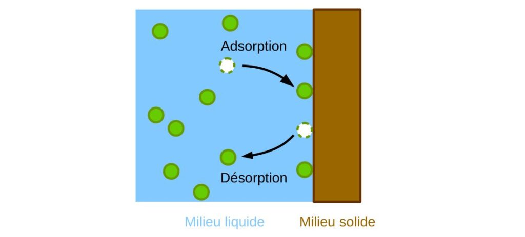 Schéma de l'adsorption d'une particule