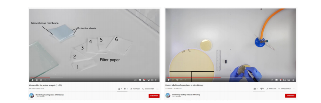 Exemples d'animations et d'annotations sur les vidéos