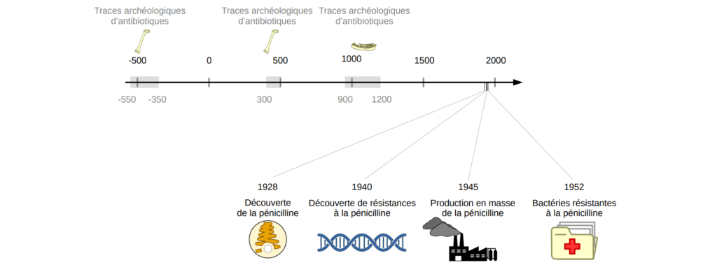 Frise chronologique montrant la relation entre les humains et les antibiotiques.