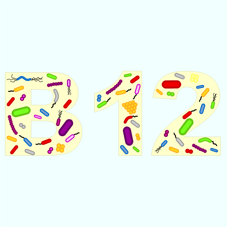 Comment produire de la vitamine B12 avec des bactéries ?