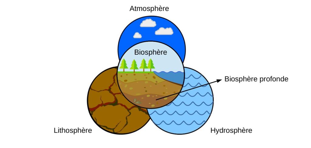 Schéma montrant l'interaction entre la biosphère et l'atmosphère, l'hydrosphère et la lithosphère.