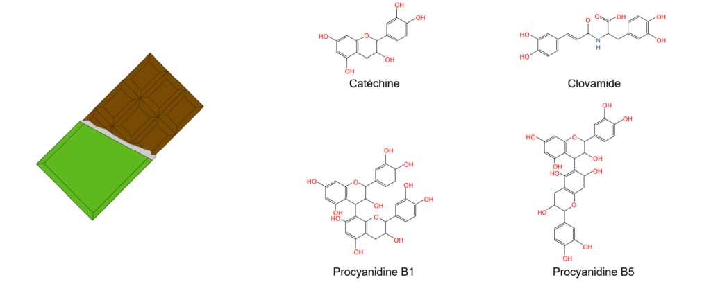 Exemple de polyphénols trouvés dans le chocolat
