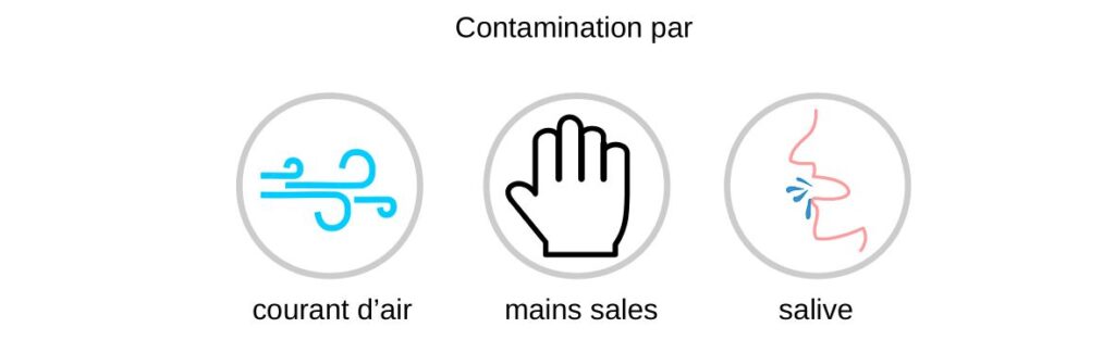 Sources de contaminations d'une bouteille d'eau.