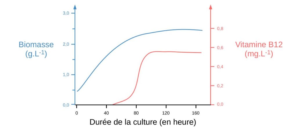 Production de vitamine B12 durant la culture