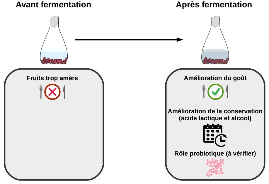 Bilan de l'expérience