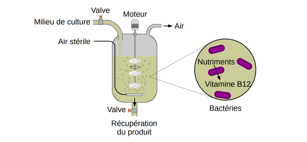Schéma d'un fermenteur