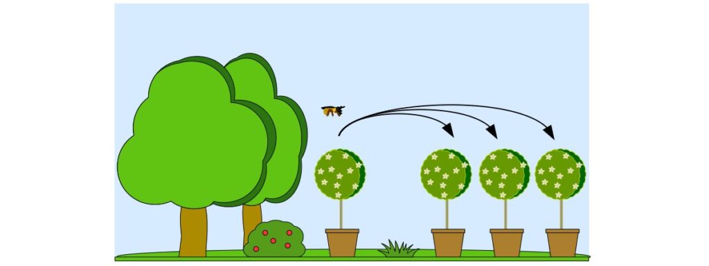 Schéma de l'expérience dans la nature.
