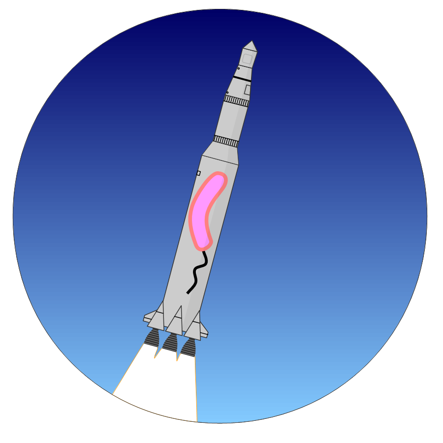 Quelle bactérie modèle pour les études dans l’espace ?