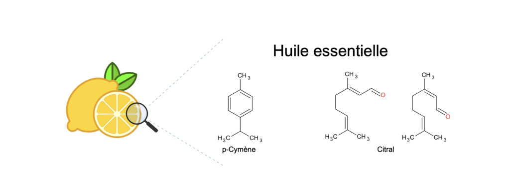 Exemple d'huiles essentielles trouvées dans le citron