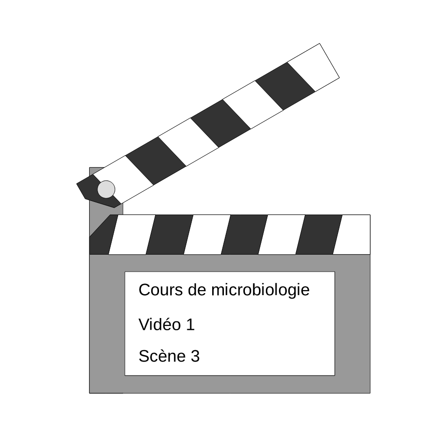 Les vidéos sont-elles un bon support pour apprendre la microbiologie ?