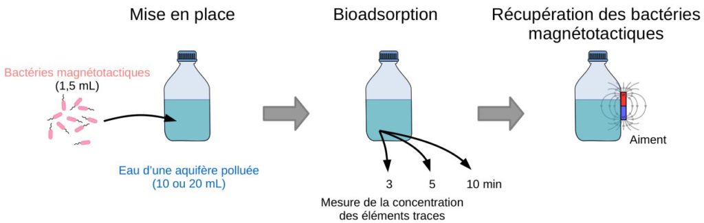 Schéma du protocole de traitement de l'eau pollué.