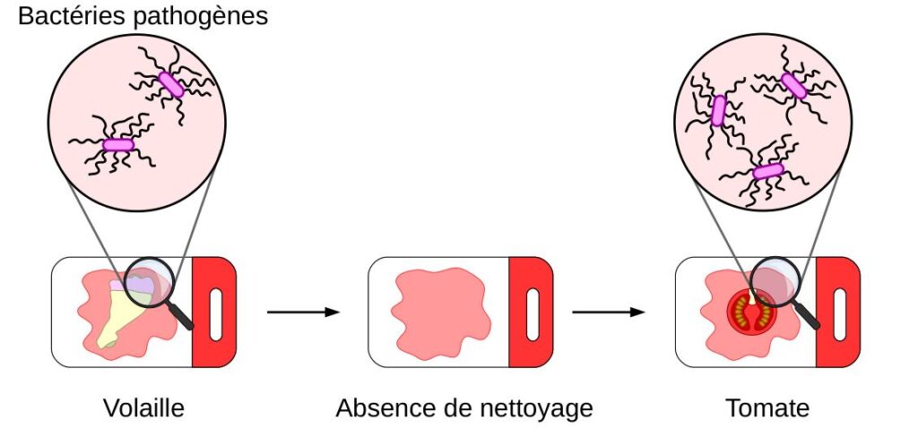 Exemple de contamination croisée