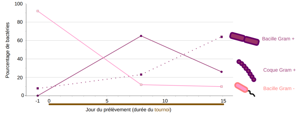Graphique illustrant les variations d'abondance des bactéries durant le tournoi