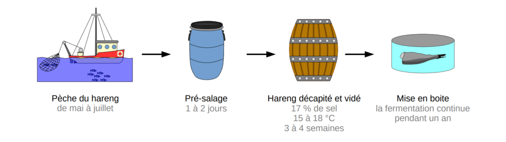 Schéma de préparation du surströmming