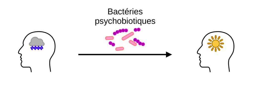 Illustration de bactéries psychobiotique