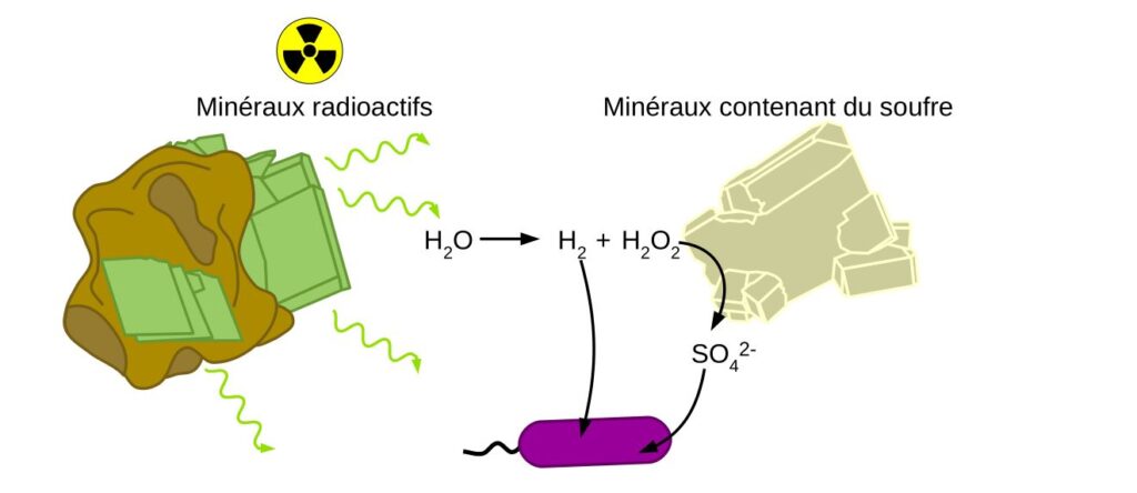 Schéma de la radiolyse de l'eau par des minéraux radioactifs.