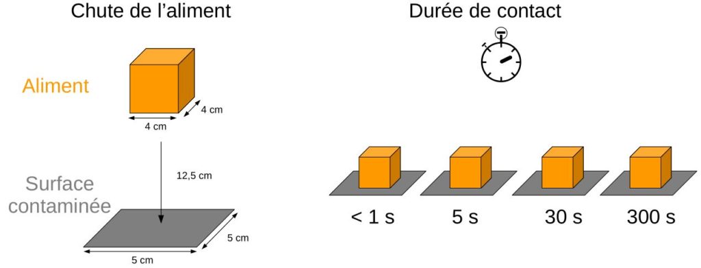 Protocole de l'expérience