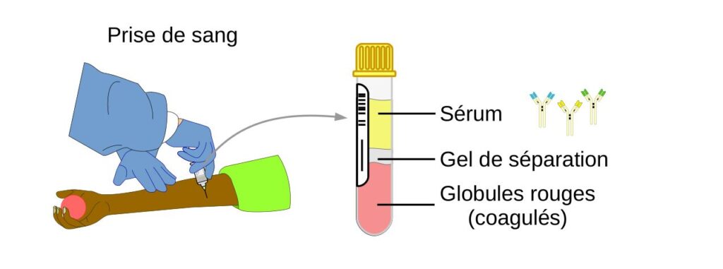 Schéma d'une prise de sang.