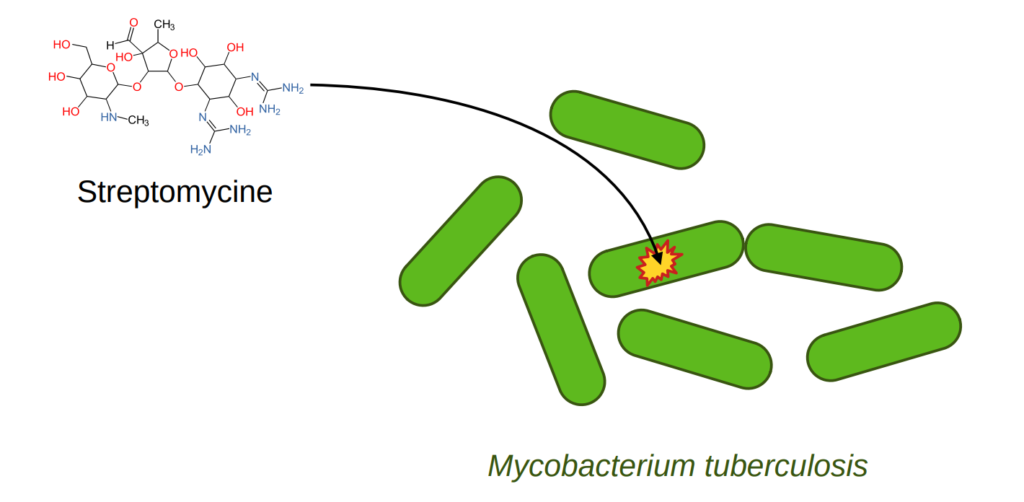 Streptomycine