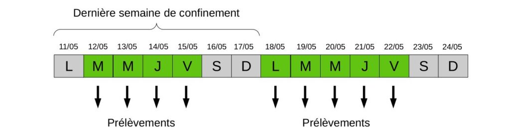 Schéma montrant le calendrier de l'expérience.