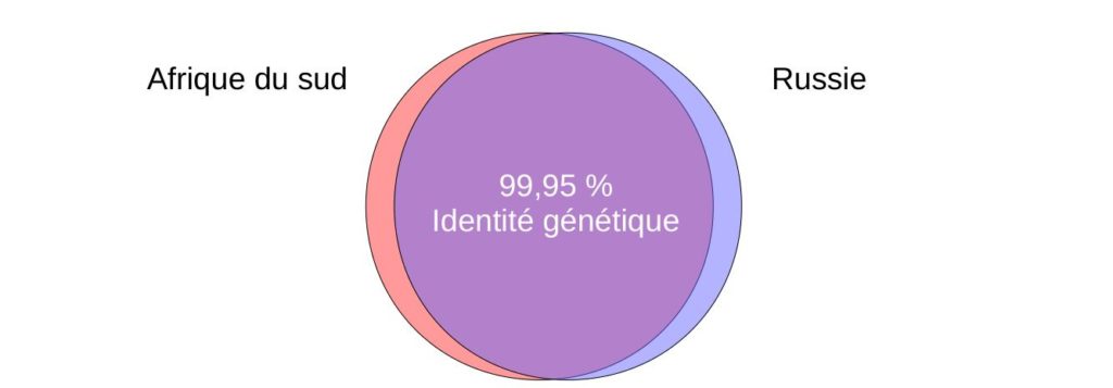 Comparaison du génome des deux bactéries