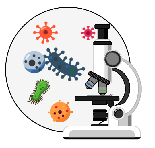 Sous le microscope fait peau neuve